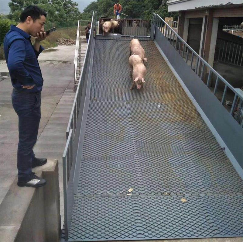 卸豬臺液壓升降機